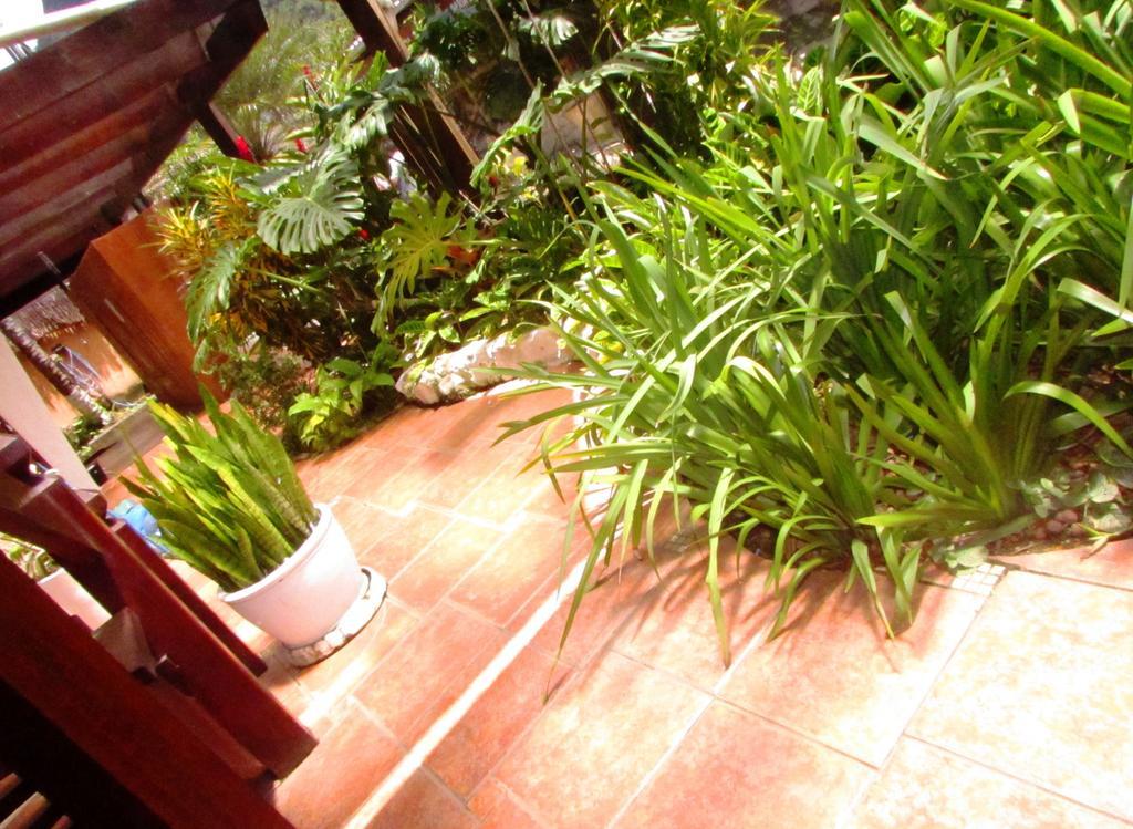 Pousada Flor De Lis Ilha Grande  外观 照片