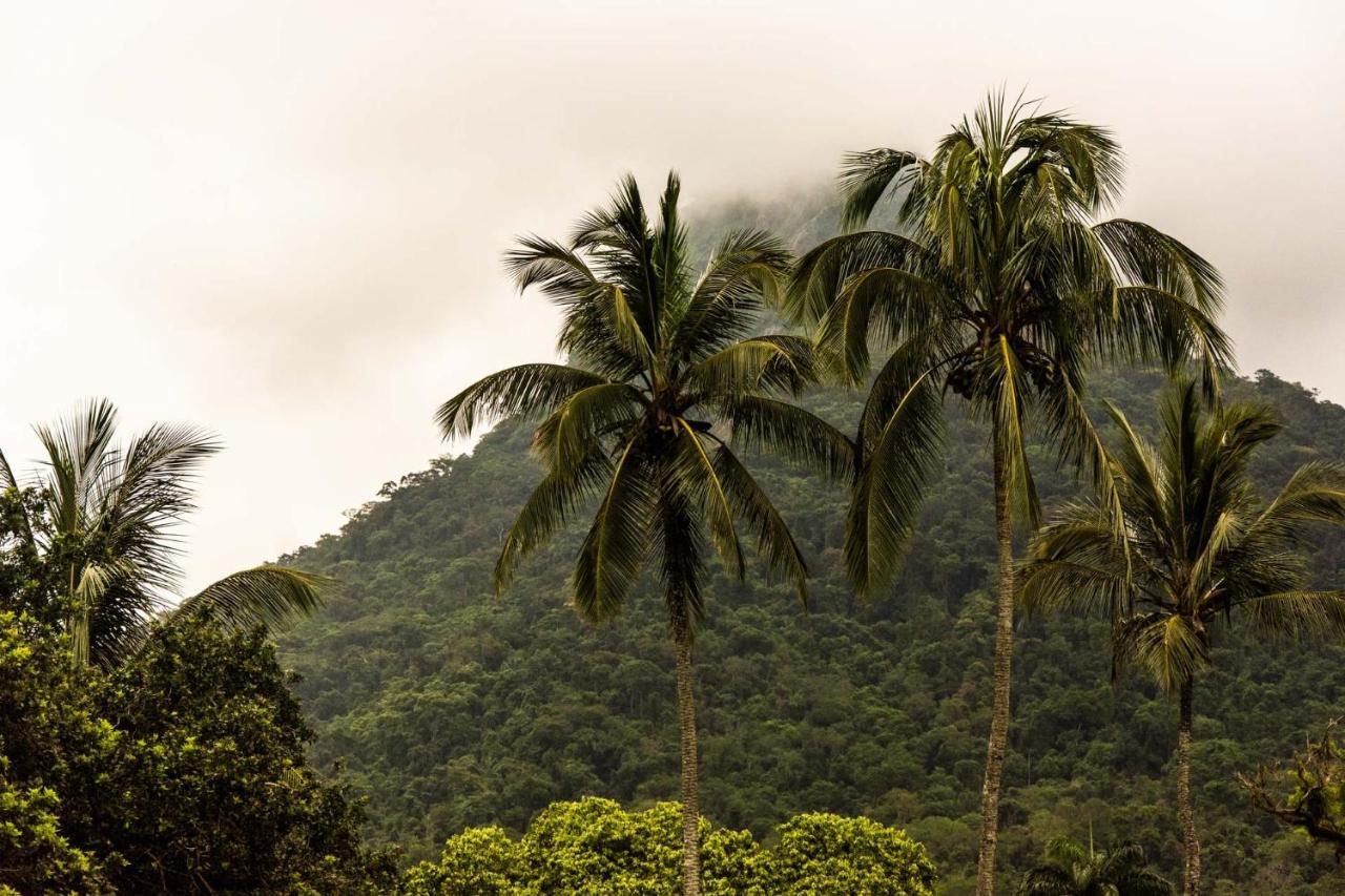 Pousada Flor De Lis Ilha Grande  外观 照片